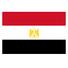埃及logo