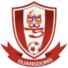 广东省女足logo