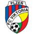 皮耳森U19logo