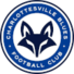 夏洛茨维尔蓝调logo