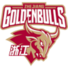 浙江金牛U21logo